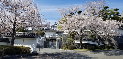 20190404_154208.jpg