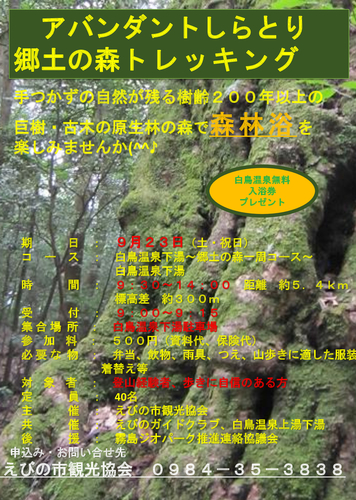 3a06dfca61bc755fb753a4fabd62cf16-1.jpeg
